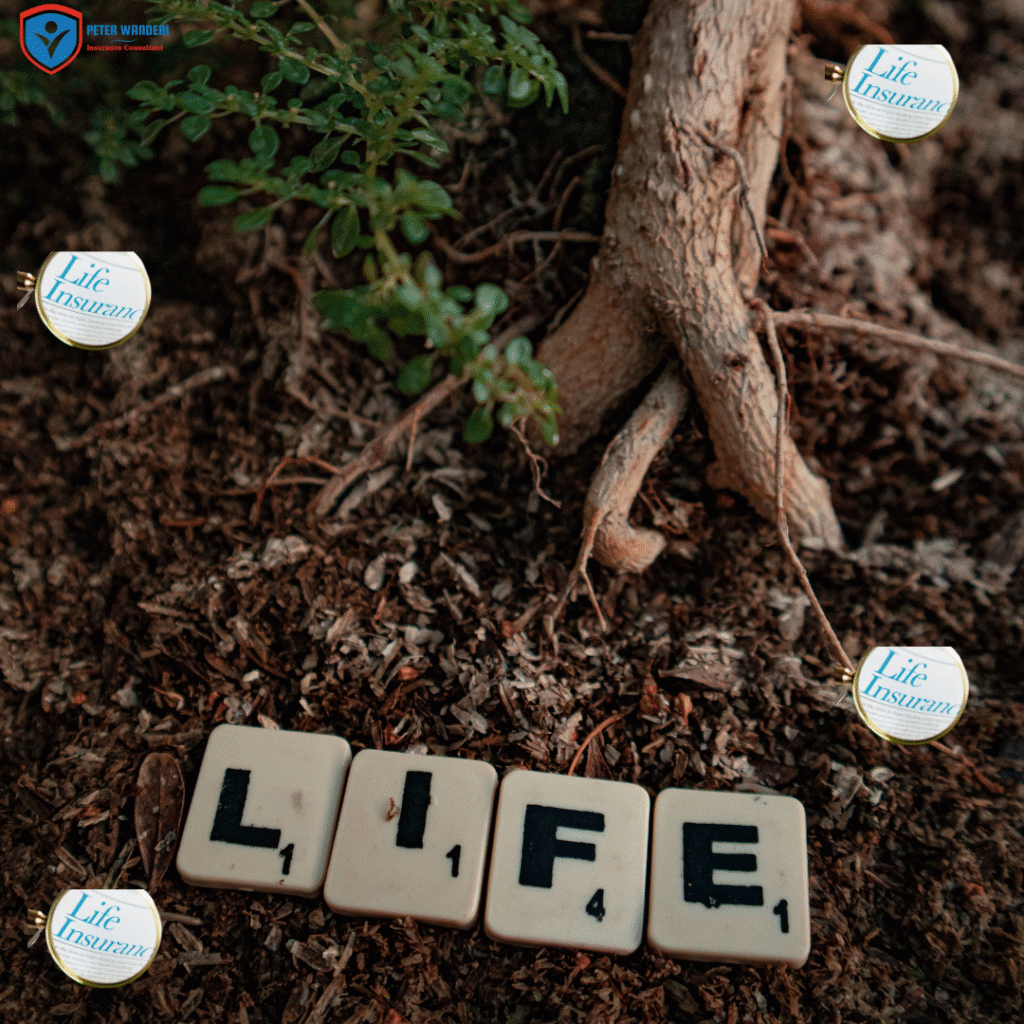 Life insurance cover