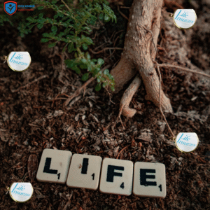 Life insurance cover